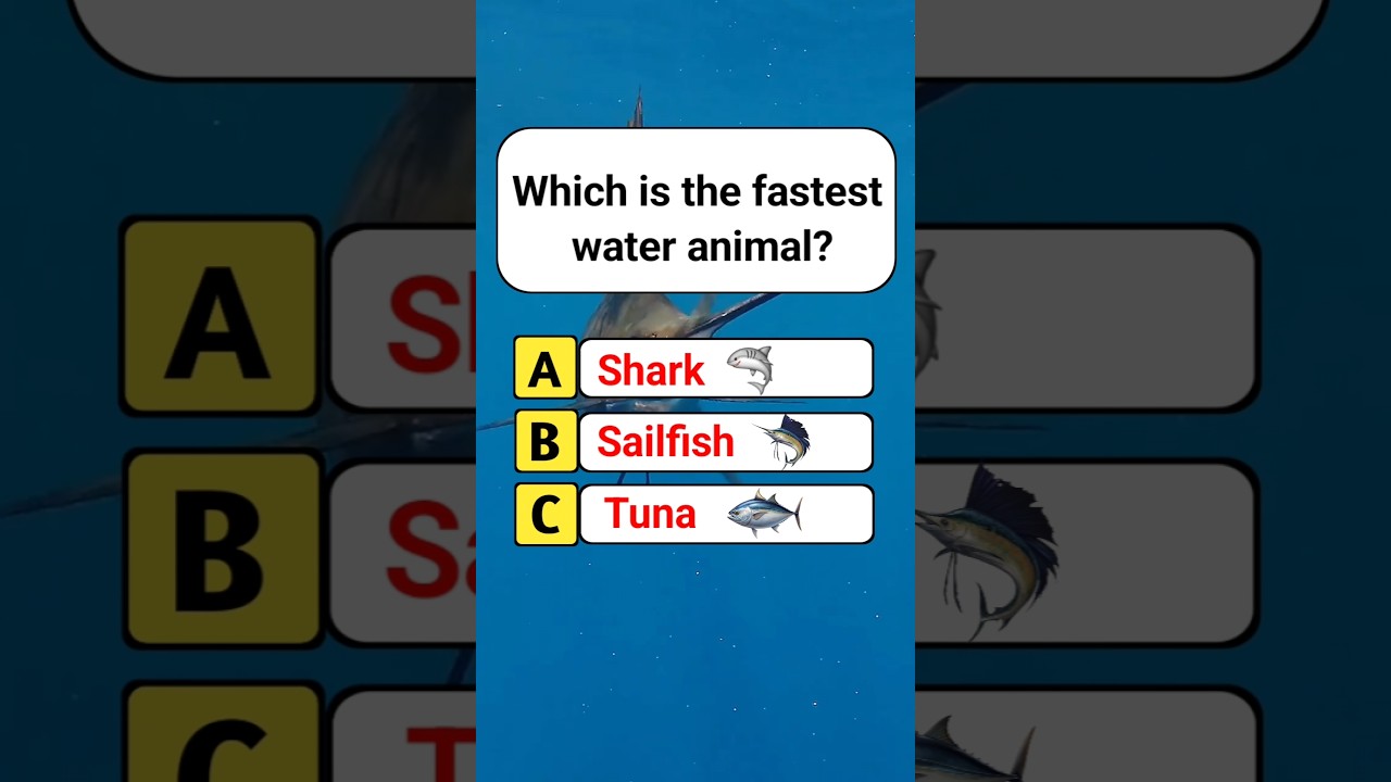 Which is the fastest water animal? 