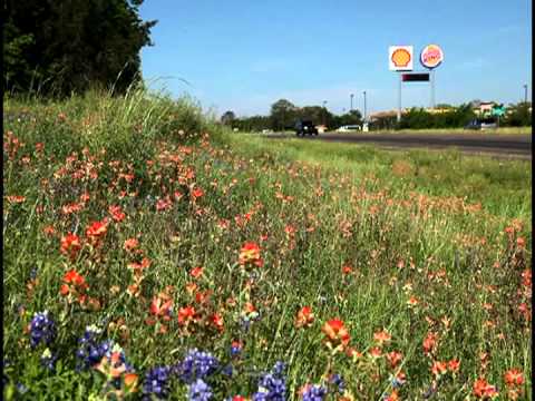 Vídeo: Comienza La Temporada De Flores Silvestres De Texas - Matador Network