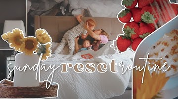 sunday reset routine | trader joe