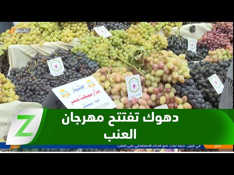 دهوك انطلاق مهرجان العنب والعسل السنوي