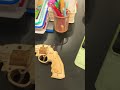 Wooden revolver #foryoupage #sorts