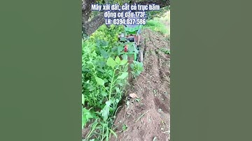 Máy xới đất, cắt cỏ trục băm động cơ dầu 173F. #thietbi365