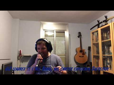 Sóc el teu millor amic (Friend like me cover en català)