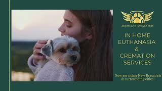 Compassionate Pet Cremation & In-Home Pet Euthanasia | Always and Forever Pets | New Braunfels, TX