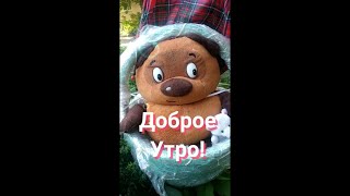 ДОБРОЕ УТРО!11сентября!Желаю Самого Доброго Солнечного Утра! Красивая Музыкальная открытка! #Shorts