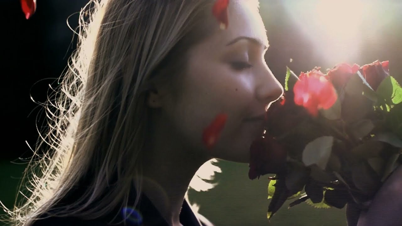 Abbotsford BC Florist  Always Fresh, Always Affordable, Always Friendly