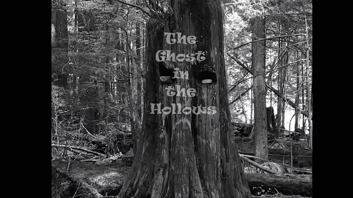 The Hollow Hills Explorers Series and author Patri...