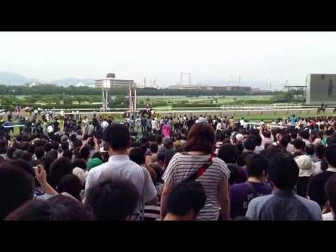 2013年 宝塚記念本馬場入場 現地映像