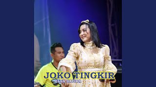 Joko Tingkir