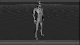 Motion Capture Punch
