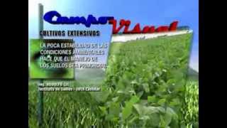 CAMPO VISUAL 29-10--2013