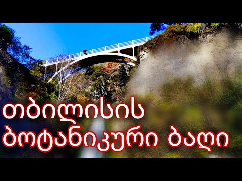 თბილისის ბოტანიკური ბაღი