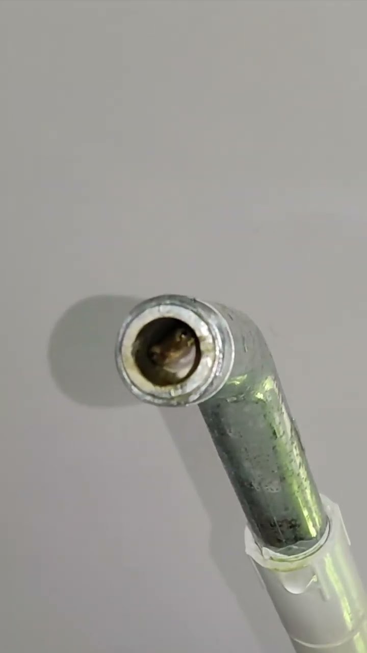 This Frog is a Pipe Peeper || ViralHog