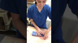 Folding and Wrapping a Surgical Drape