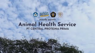 2023 MBKM Internship Documentary | The Missing Piece : AHS CP Prima