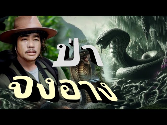 #ป่างูจงอาง#ป่าดงดิบเขาใหญ่มีงู#คนเดินป่า#ธรรมชาติในป่าลึก#