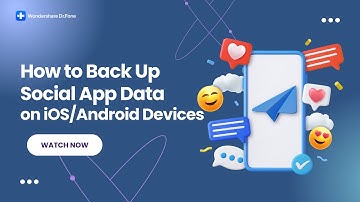 Back Up Social App Data on iOS/Android Devices