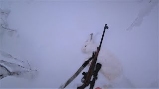 Охота зимой на зайца. Мелкашка TOZ-78-04M. 22lr