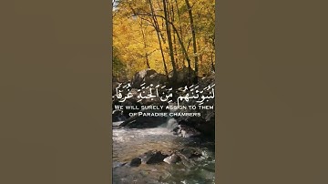 #الشيخ #اكسبلور #سورة_المؤمنون #راحة_نفسية #عبدالرحمن_مسعد #لايك #قران_كريم #دويتو #ياسر_الدوسري
