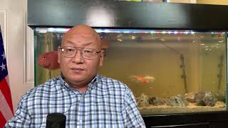 黑吉辽遭遇台风:全国粮产区普遍泡了一遍水!(20200903第1450期)(简体中文字幕)