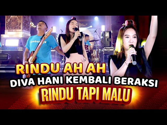 Rindu Tapi Malu | Pindo Ah Ah - Diva Hani (Official Music Video) class=
