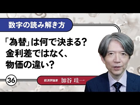 【無料公開】加谷珪一｜数字の読み解き方#36 「「為替」は何で決まる？金利差ではなく、物価の違い？」