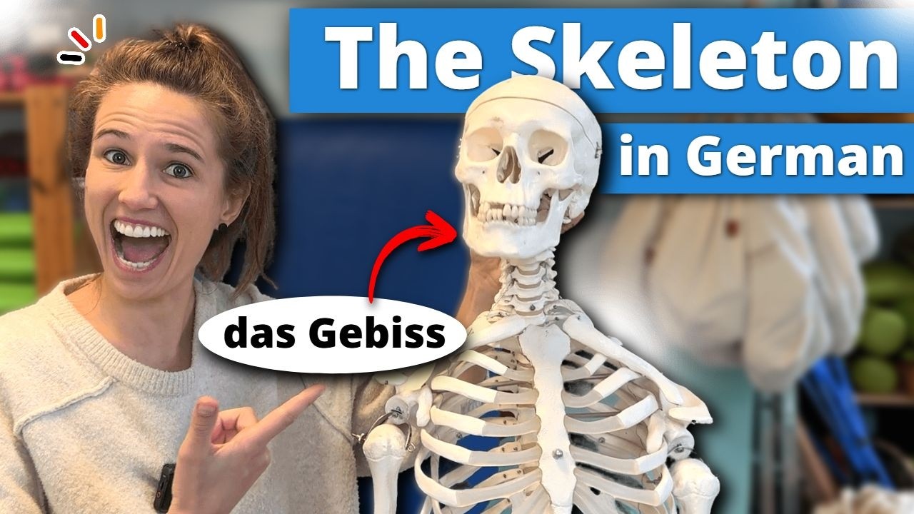 German Skeleton Learn German Body Parts – Skeleton Edition! - YouTube