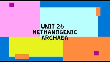 Methanogenic Archaea