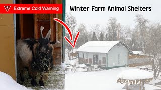 Winter Animal Shelters In Extreme Cold Weather