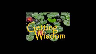 Getting Wisdom 11 by Getting Wisdom 1 view 9 months ago 15 minutes