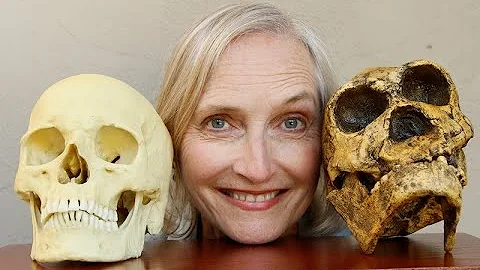 Pamela S  Turner Introduces How To Build a Human