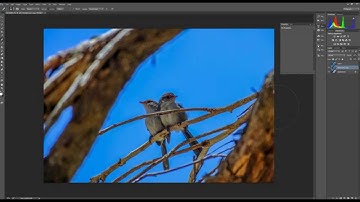 Starting workflow in Photoshop with Camera RAW filter