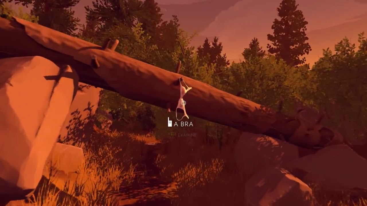 Firewatch: Naked Ladies [2]