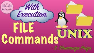 Unix - Linux Basic Commands Series - File Commands Made Easy