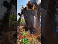 Rotary Drilling Bucket Excavation