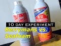 Berrysmans B-12 vs Seafoam - 10 Day Test on Set of Valves - Does Seafoam Actually Work?