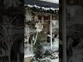 ❄️Vlogmas Day 4: A Snowy Day at Ivory &amp; Main Curvy Bridal #vlogmas #bridalboutique