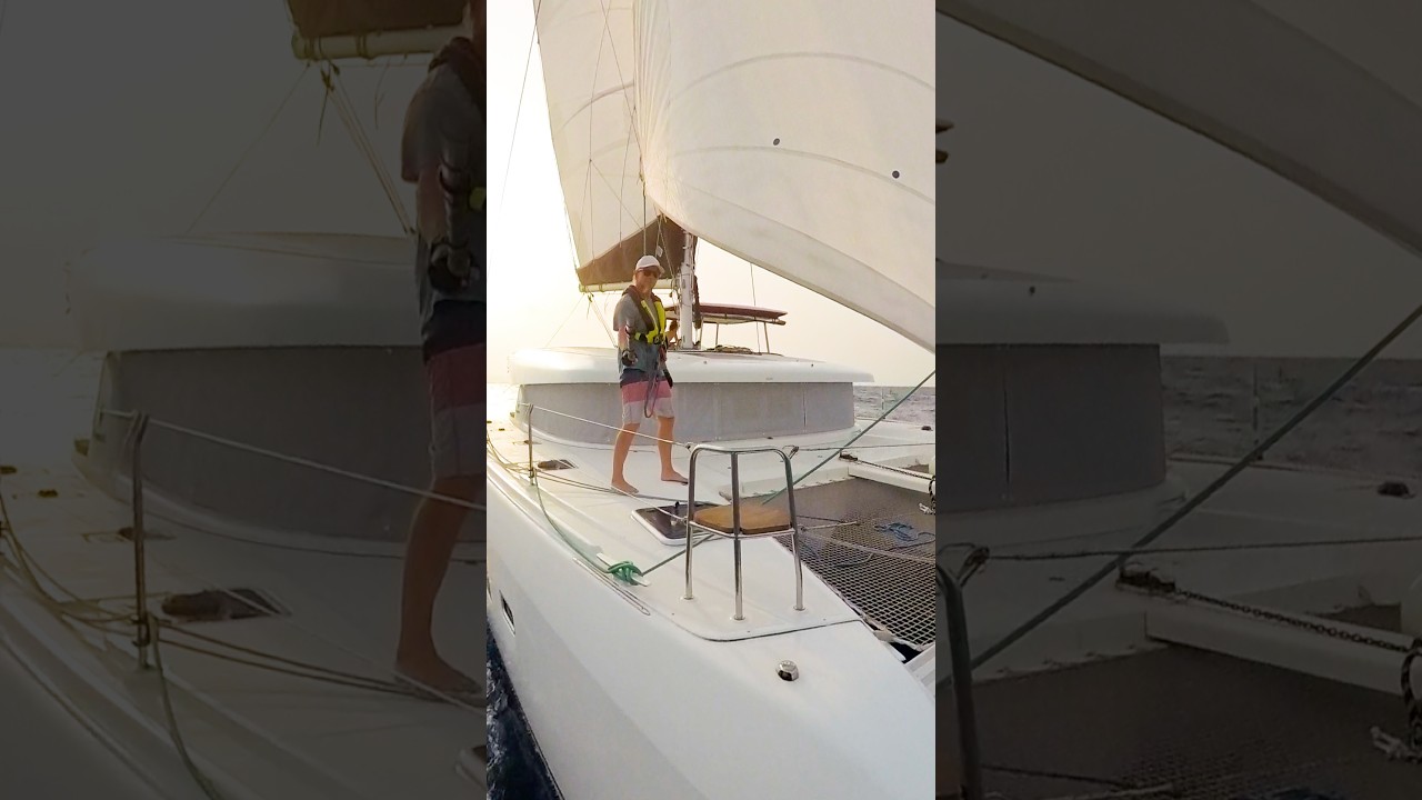 We saw the world’s largest sailing catamaran! #yachting #sailing