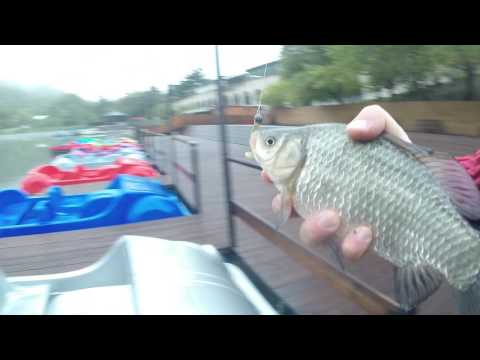 კარჩხანა მიკროჯიგზე. კუს ტბა. Карась на микроджиг