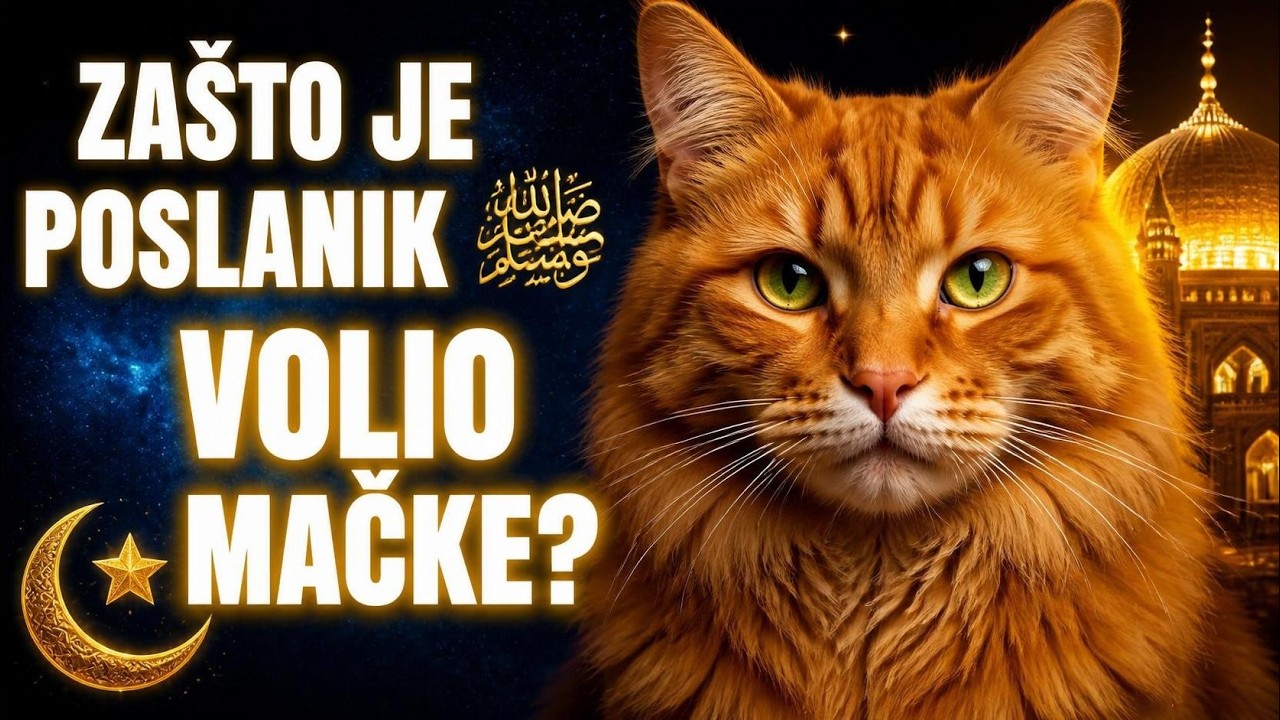 Poslanik ﷺ i Mačka Mu'izza: Lekcija o Nježnosti iz Rukava