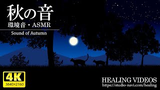 Environmental Sound/ASMR] Comfortable sounds of autumn / BGM for work, study, and sleep. by 癒しの映像館 4,116,113 views 1 year ago 3 hours, 25 minutes