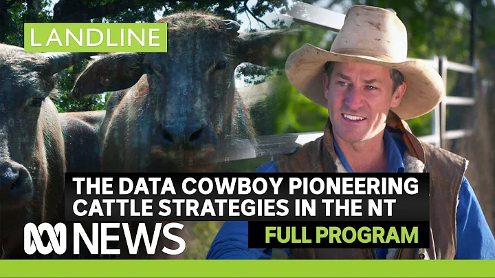 Landline | The Top End's data cowboy, markets, weather and more | ABC News In-depth - DayDayNews