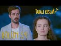 Yaralı Kuşlar 59 Bölüm Yaralı Kuşlar 59 Bölüm