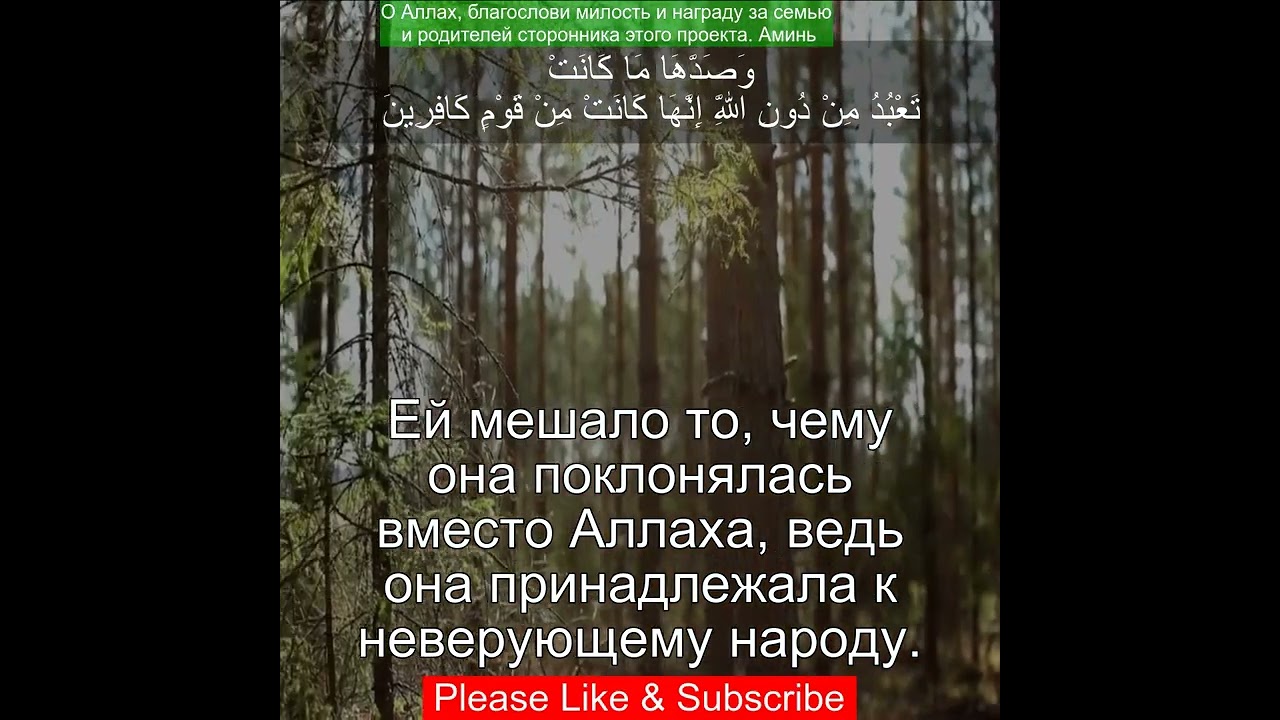 Коран Сура Ан-Намль | 