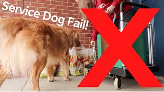 Funny Service Dog Fail | Try Not to Laugh Challenge