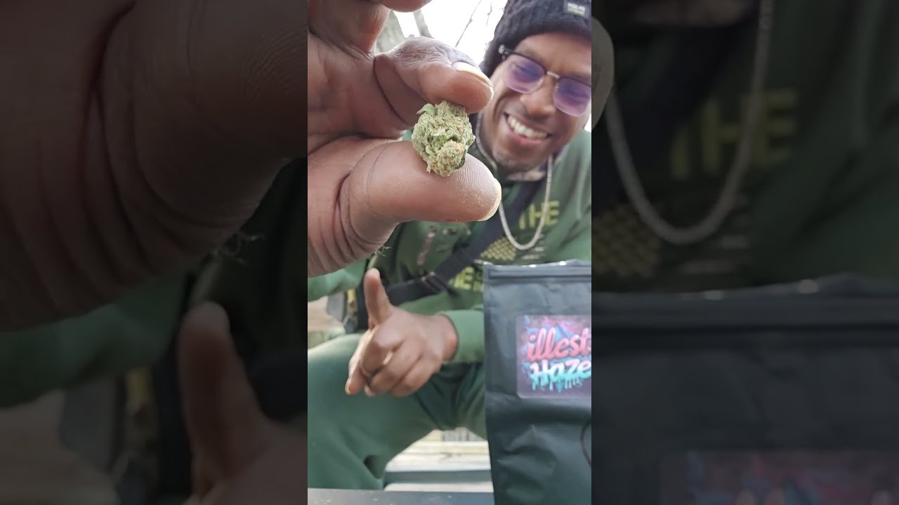 Первый обзор 2025 года! Цветы Blue Dream THCa.