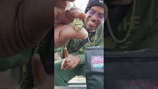 1st review of 2025! Blue dream THCa flower