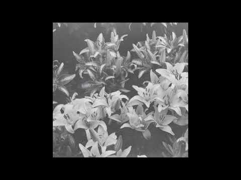 Altstadt Echo - A Muted Radiance II [SEMANTICA136]