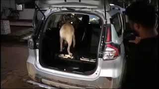 Bsf & Dri For Their Vigilance And Coordination, Seizing 15 Crore Worth Of Yaba Tablets In Tripura