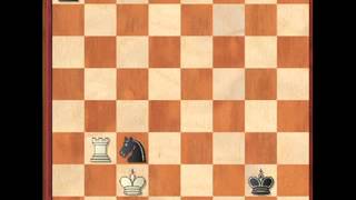 Chess Beauty #70